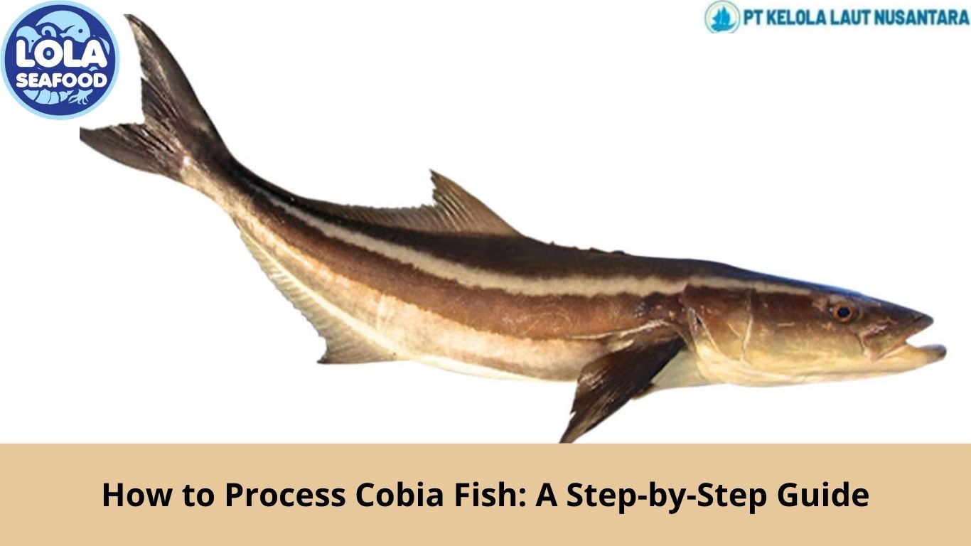 How to Process Cobia Fish: A Step-by-Step Guide